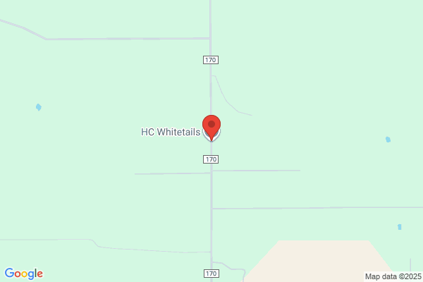 Tecate Creek Whitetails