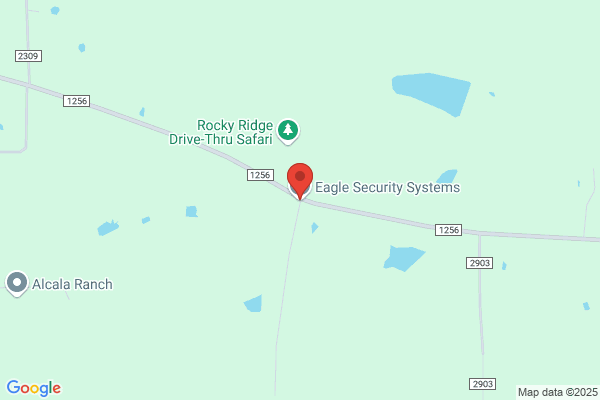 Eagle Security Systems Inc