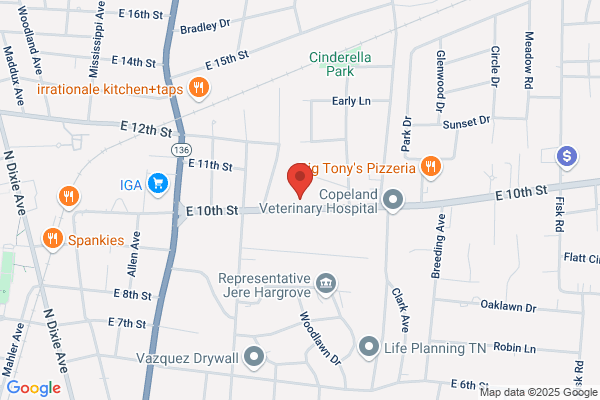 Hayes Family Dentistry