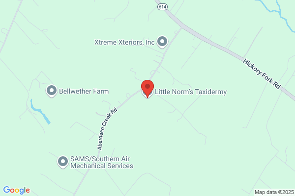 Norm's Taxidermy