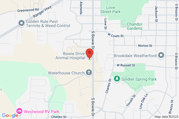 Camp Bowie Animal Clinic