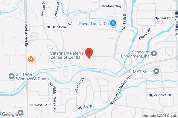 Bend Veterinary Specialists