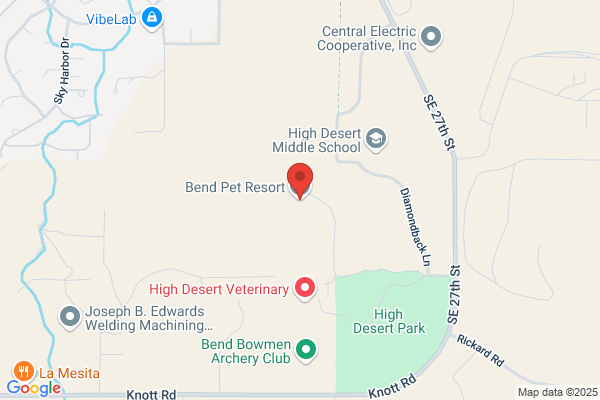Lightning Creek Pet Resort