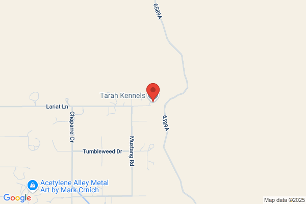 Tarah Kennels