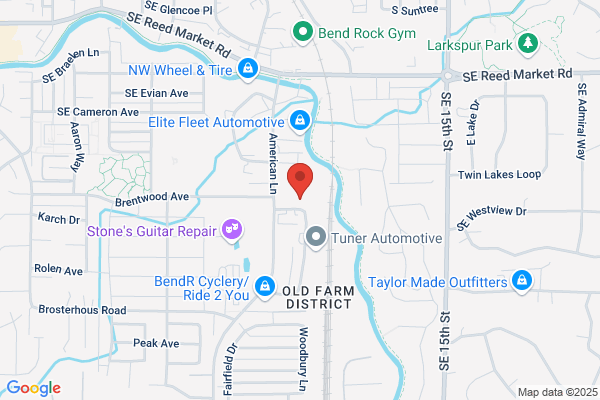 Swan's Automotive