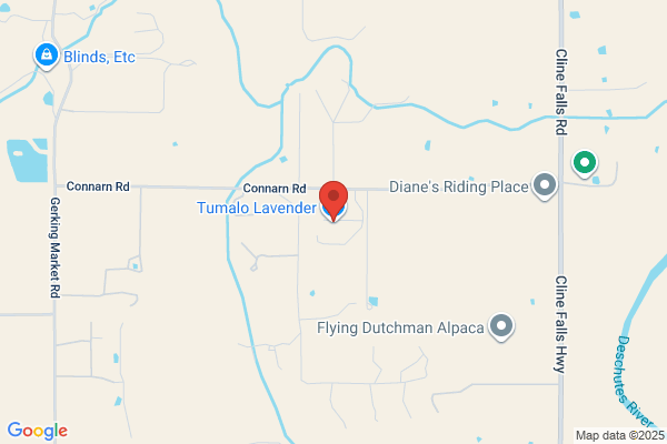 Tumalo Lavender