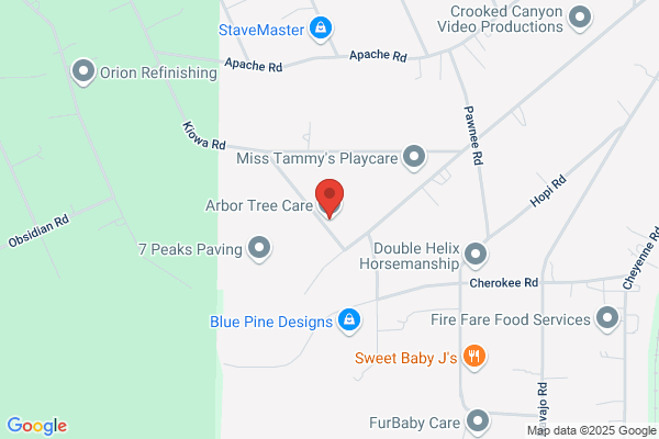 Arbor Tree Care