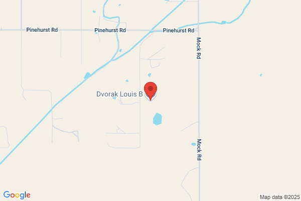 Dvorak Louis B