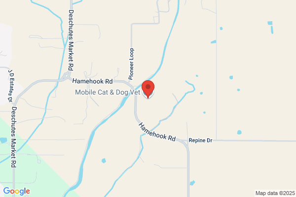 Mobile Cat and Dog Vet