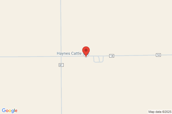 Haines Cattle Co