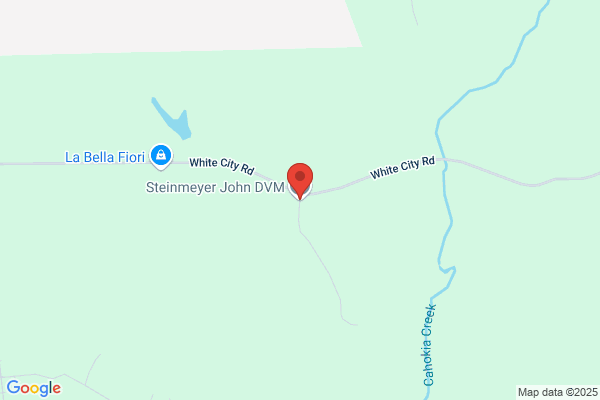 Steinmeyer John DVM