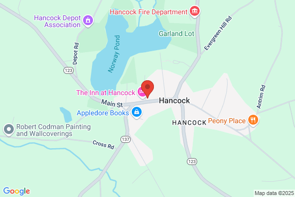 Hancock Town of, Library