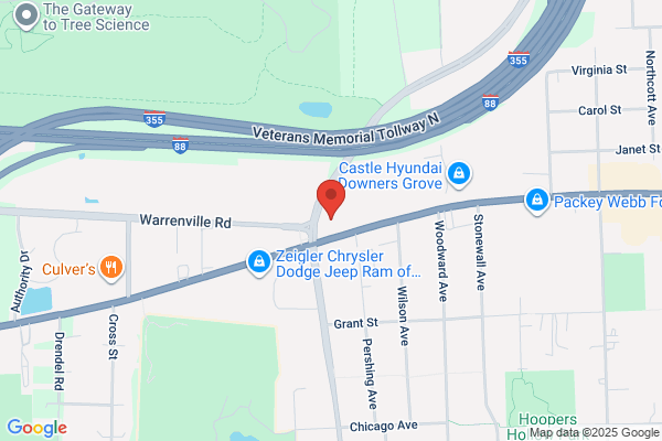 Chicago Auto Place LLC