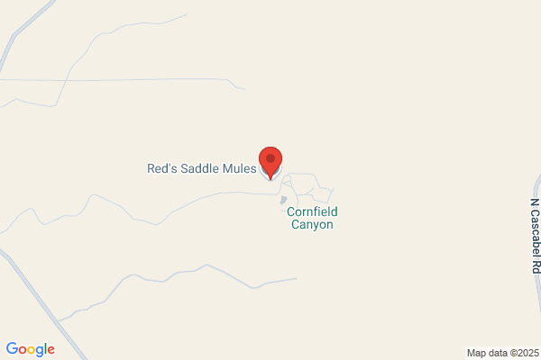 Reds Saddle Mules