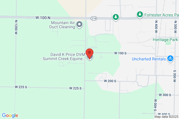 David K Price DVM - Summit Creek Equine Practice