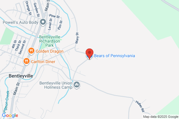 Bears of Pennsylvania the