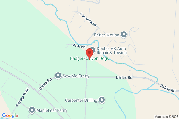 Penny Creek Kennels