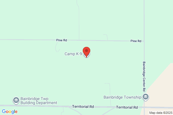 Camp K-9