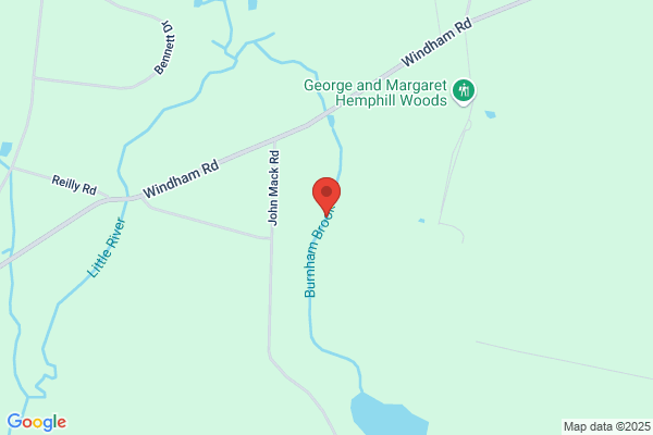 Burnham Brook