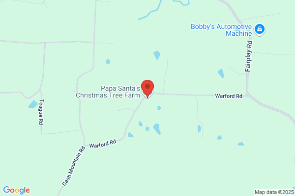 Homestead Christmas Tree Farm