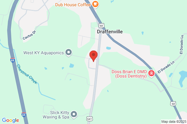 Dent Specialist