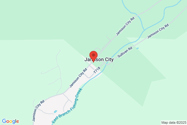 Jamison City Hotel Inc