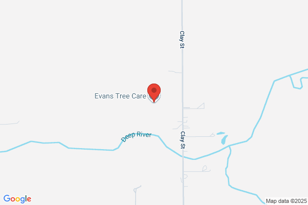 Evans Tree Service