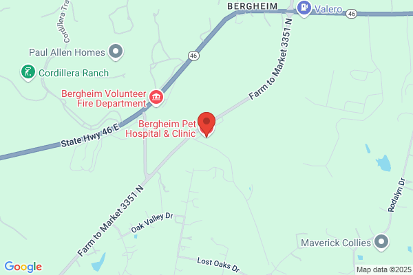 Bergheim Pet Hospital & Clinic