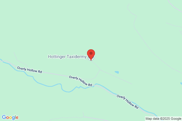 Hottinger Taxidermy