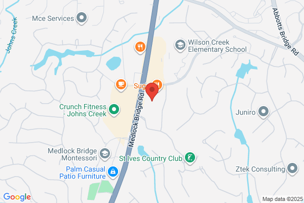 Optical Services International