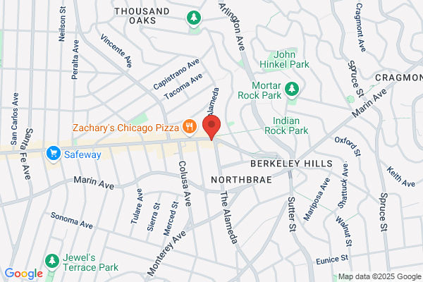 Noor & Sons Rug Gallery/ Berkeley Oriental Rugs