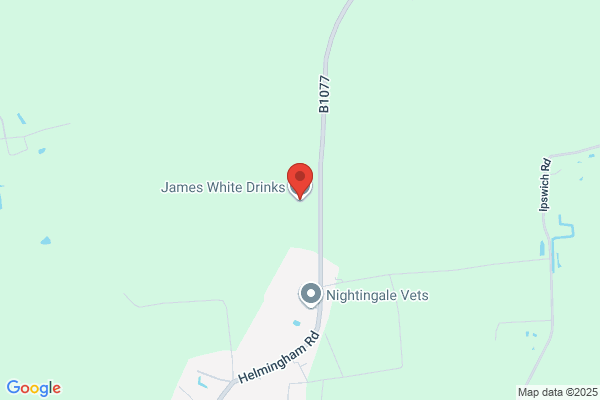 James T. White, DDS