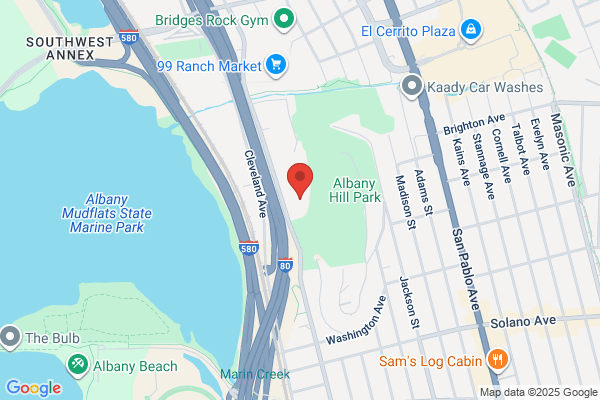 Albany Hill Realty