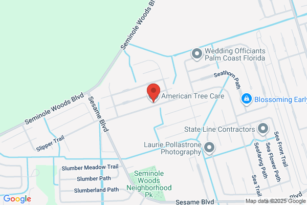 American Tree Care LLC