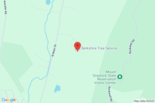 Berkshire Tree Service