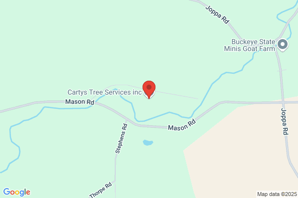 Carty's Tree & Landscaping Service