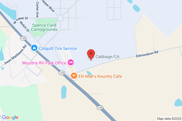 Cabbage Ga Llc
