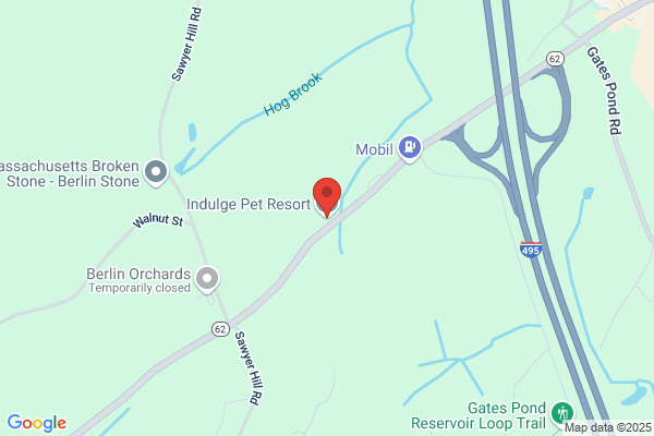 Indulge Pet Resort