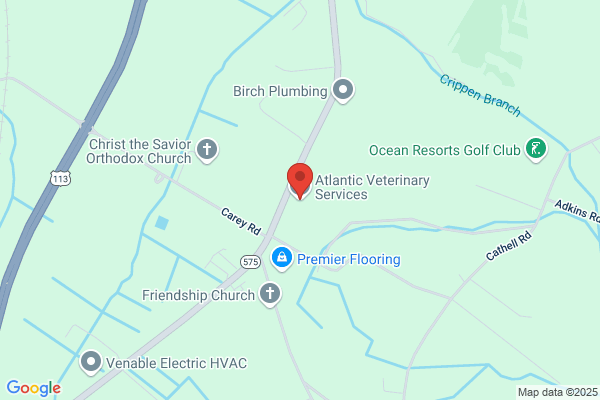 Atlantic Veterinary Services