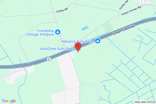 AutoZone Auto Parts