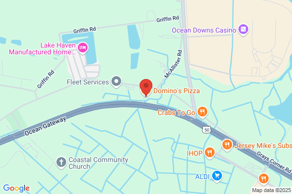Domino's Pizza