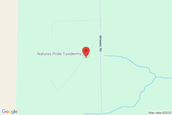 Four Corners Sportsman's Pride Taxidermy