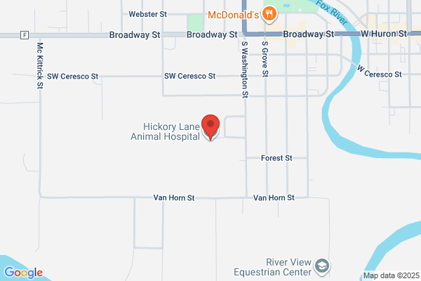 Hickory Lane Animal Hospital