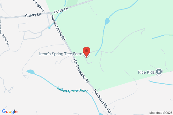 Irenes Spring Tree Farm