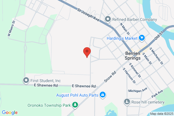 Berrien Springs Public Schools, High School