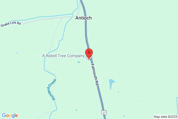 A Rated Tree Company