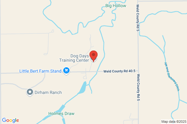 Dog Days Training Center