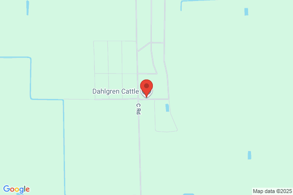 Dahlgren Cattle Co Inc