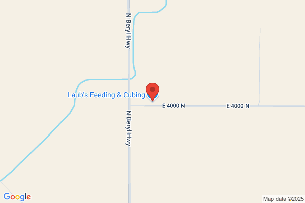 Laub's Feeding & Cubing