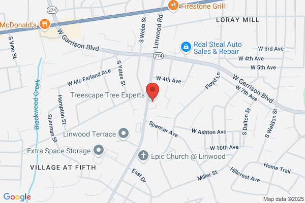 Treescape Tree Experts Serving Charlotte NC and surrounding